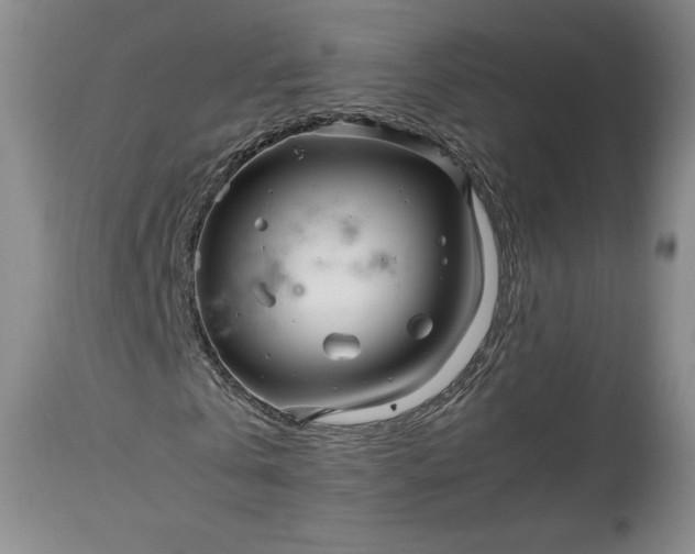 X0000114190769200910231320