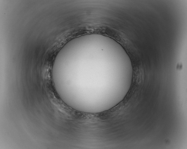 X0000114190770200910231320