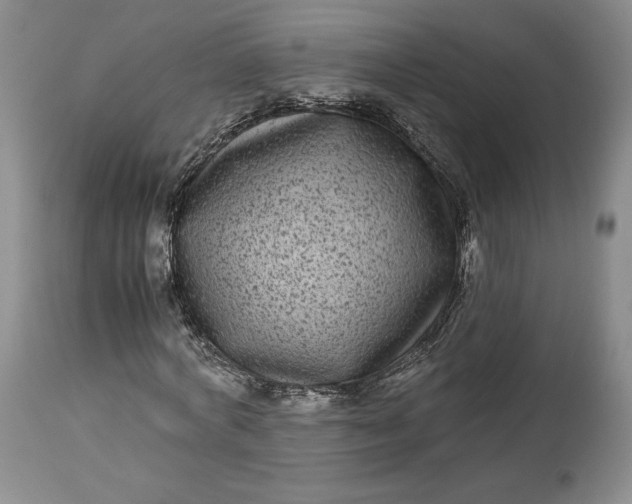 X0000114190772200910231320