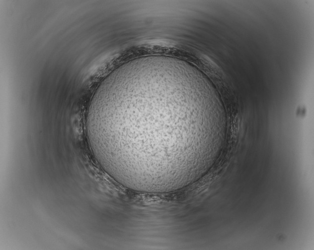 X0000114190774200910231320