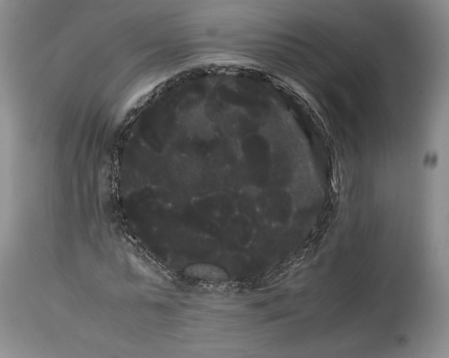 X0000114190775200910231320