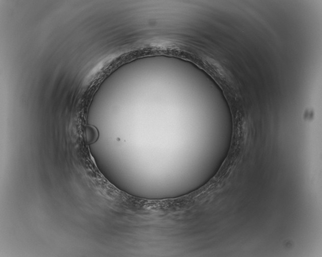 X0000114190776200910231320