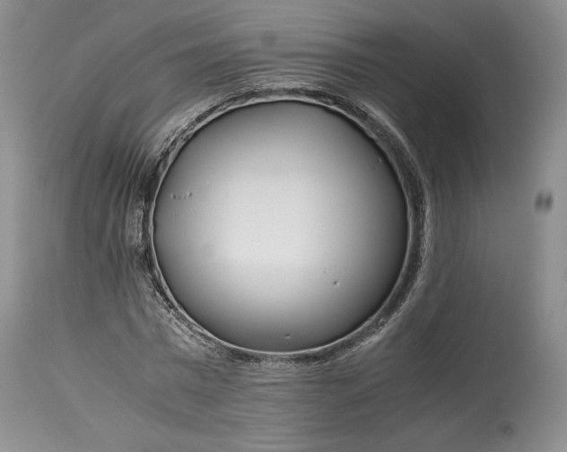 X0000114190777200910231320