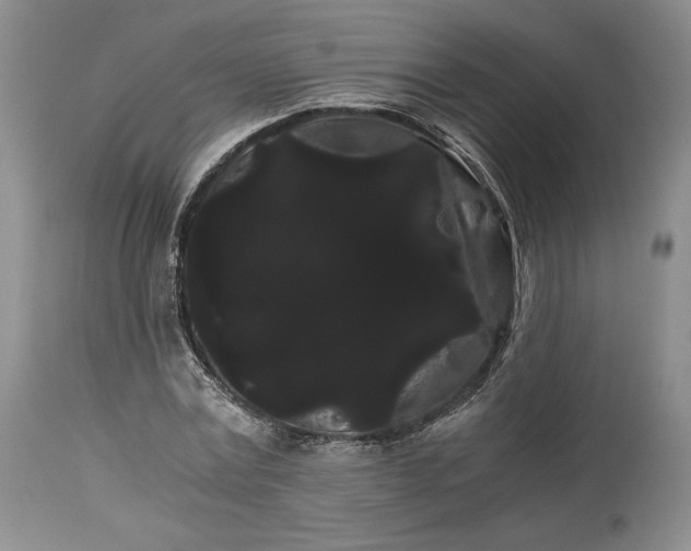 X0000114190779200910231320