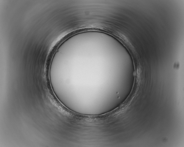 X0000114190780200910231320