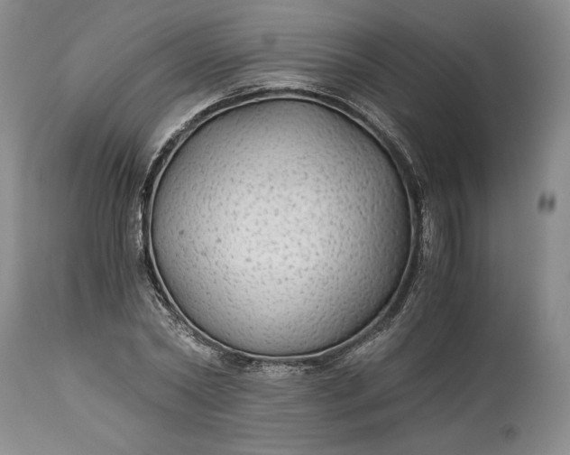 X0000114190782200910231320