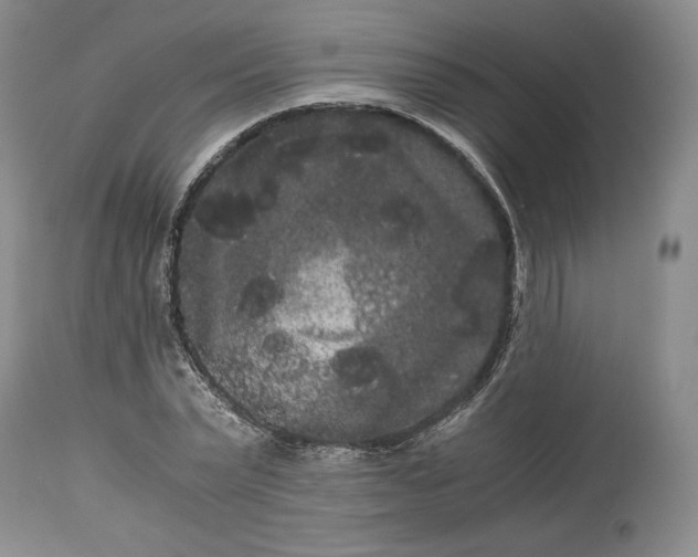 X0000114190783200910231320