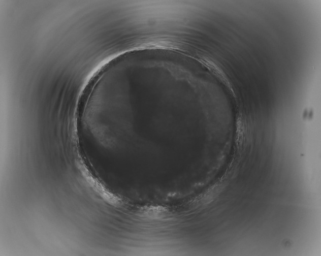 X0000114190784200910231320