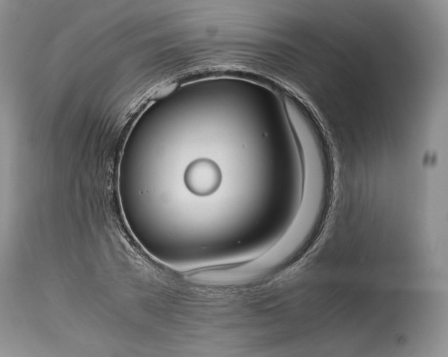 X0000114190785200910231320