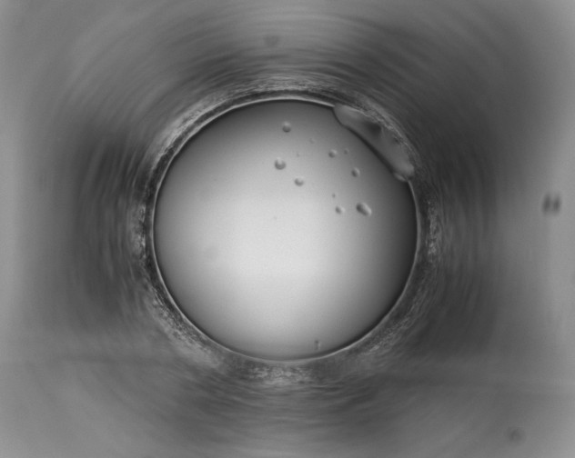 X0000114190786200910231320