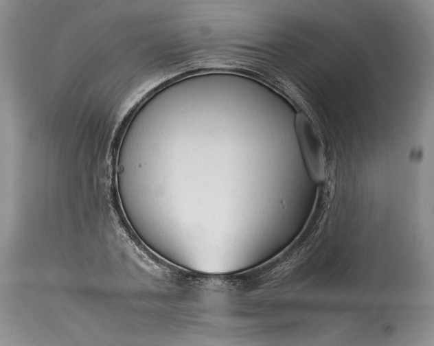 X0000114190787200910231320