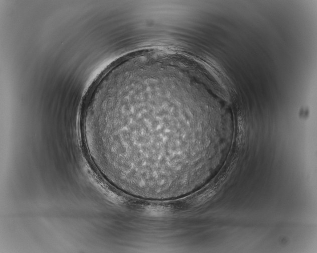 X0000114190788200910231320