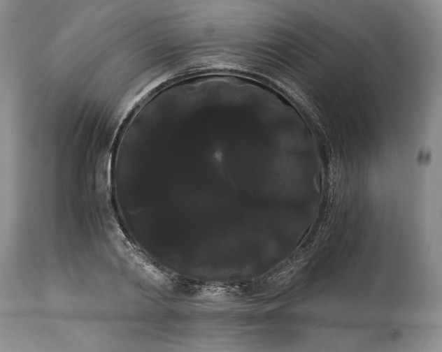 X0000114190790200910231320