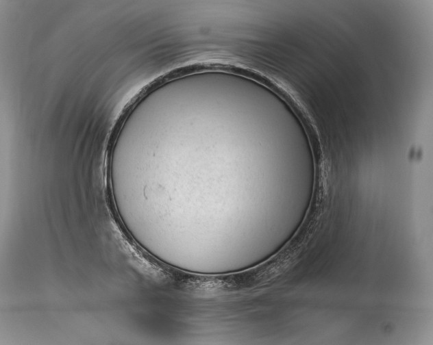X0000114190791200910231320
