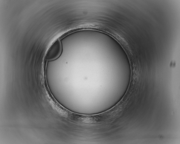 X0000114190792200910231320