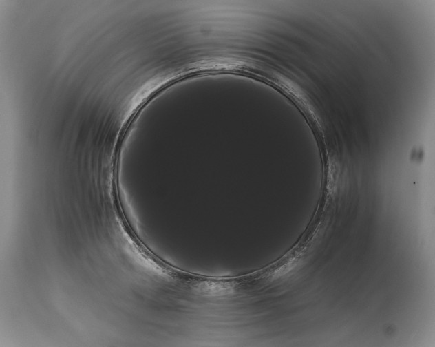 X0000114190802200910231319