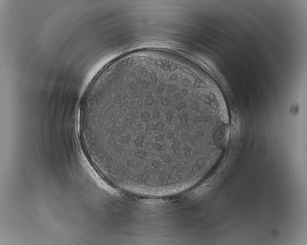 X0000114190804200910231319
