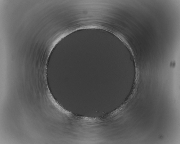 X0000114190805200910231319