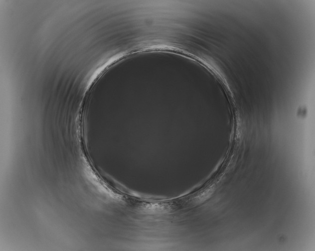 X0000114190806200910231319