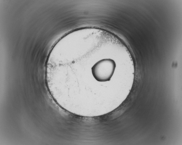 X0000114190807200910231319