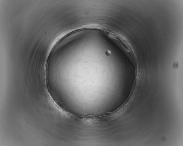 X0000114190808200910231319
