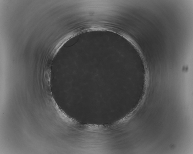 X0000114190809200910231319