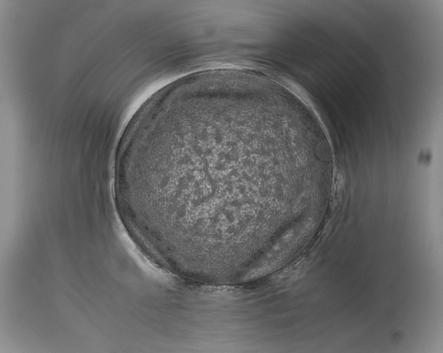 X0000114190811200910231319