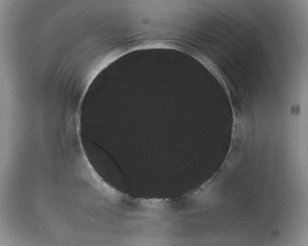 X0000114190813200910231319