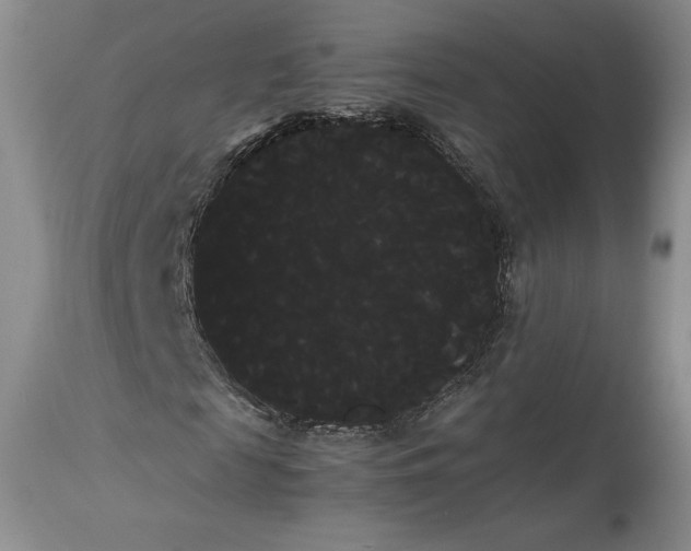 X0000114190817200910231319