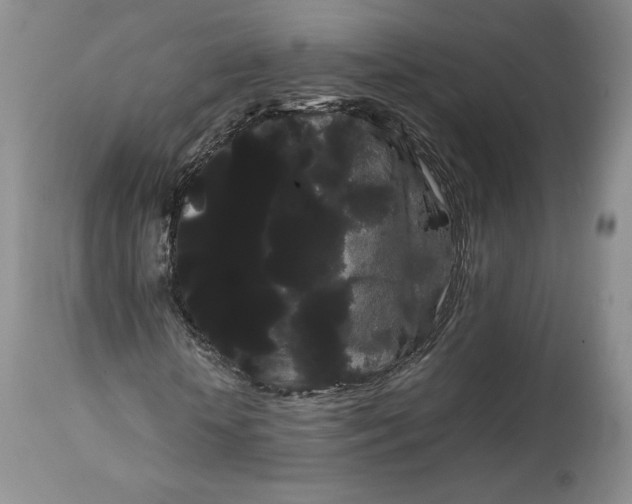X0000114190818200910231319