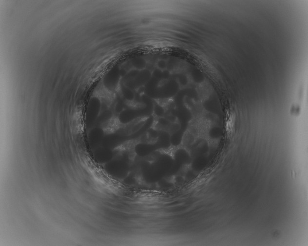 X0000114190819200910231319