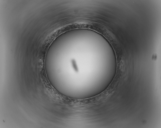 X0000114190821200910231319
