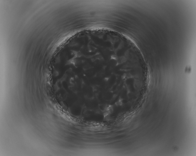 X0000114190823200910231319