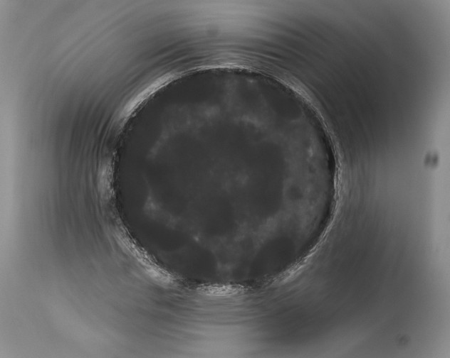 X0000114190826200910231319