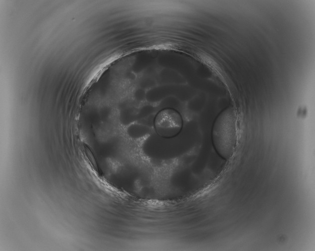 X0000114190827200910231319