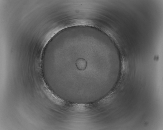 X0000114190828200910231319
