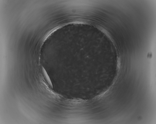 X0000114190829200910231319