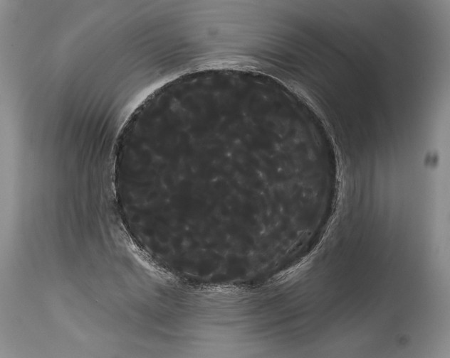 X0000114190830200910231319