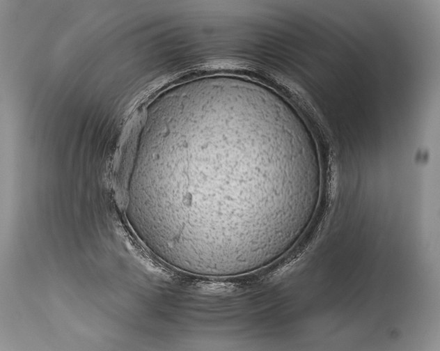 X0000114190833200910231319