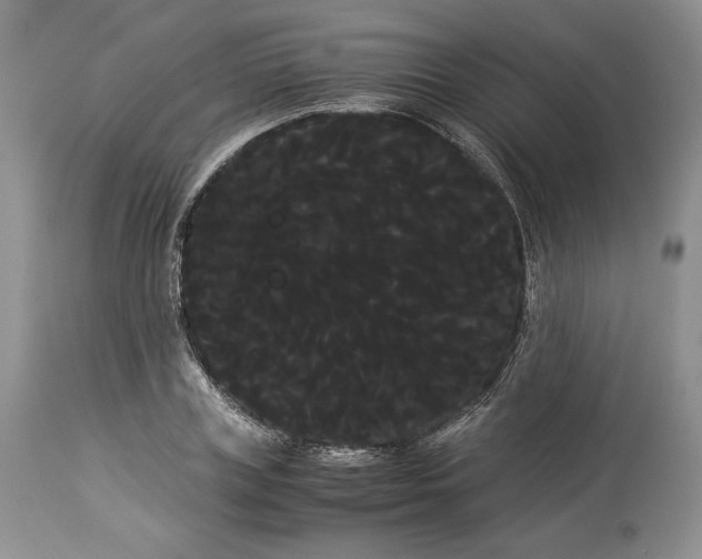 X0000114190835200910231319
