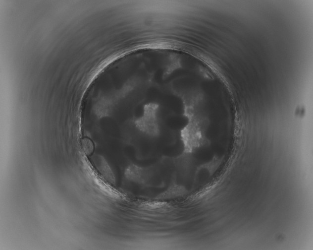 X0000114190837200910231319