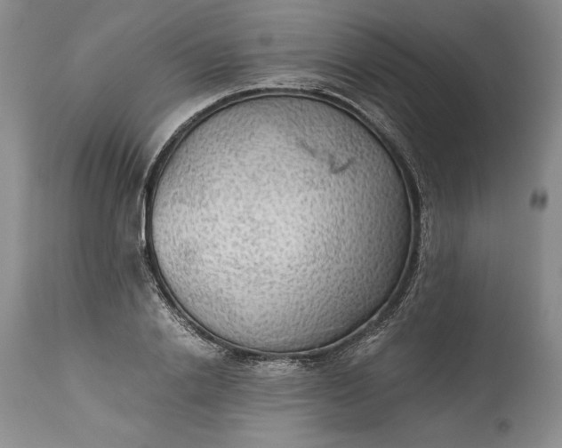 X0000114190838200910231319