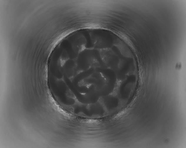 X0000114190839200910231319