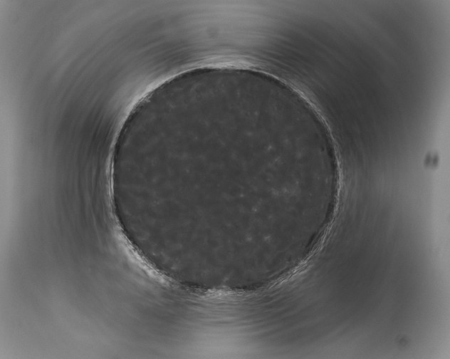 X0000114190840200910231319