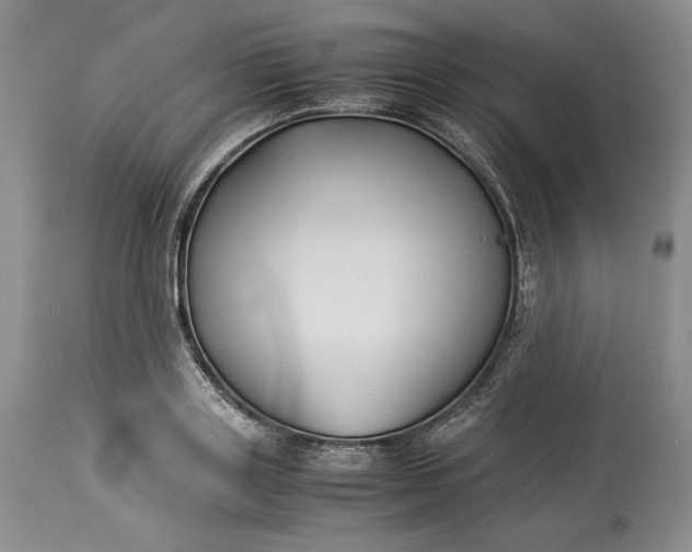 X0000114190843200910231319
