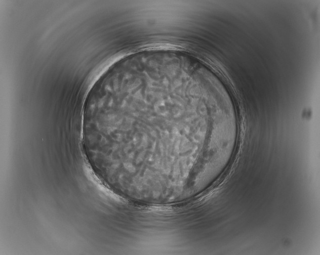 X0000114190844200910231319