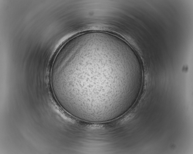X0000114190846200910231319