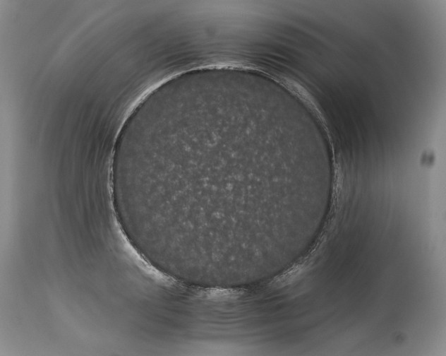 X0000114190847200910231319