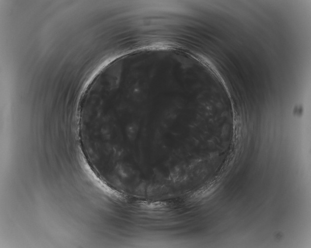 X0000114190851200910231319