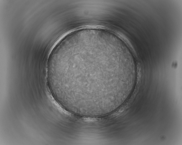 X0000114190852200910231319